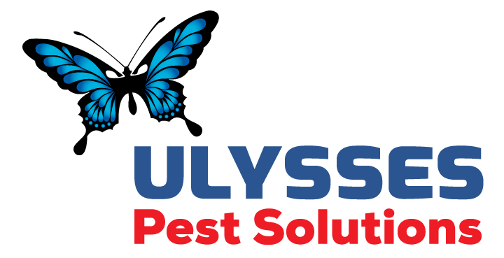 Ulysses Pest Control Cairns